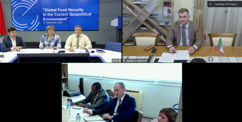 Экспертный семинар по тематике продовольственной безопасности с Египетским советом по международным отношениям
