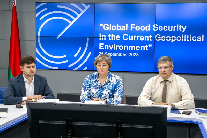 Экспертный семинар по тематике продовольственной безопасности с Египетским советом по международным отношениям