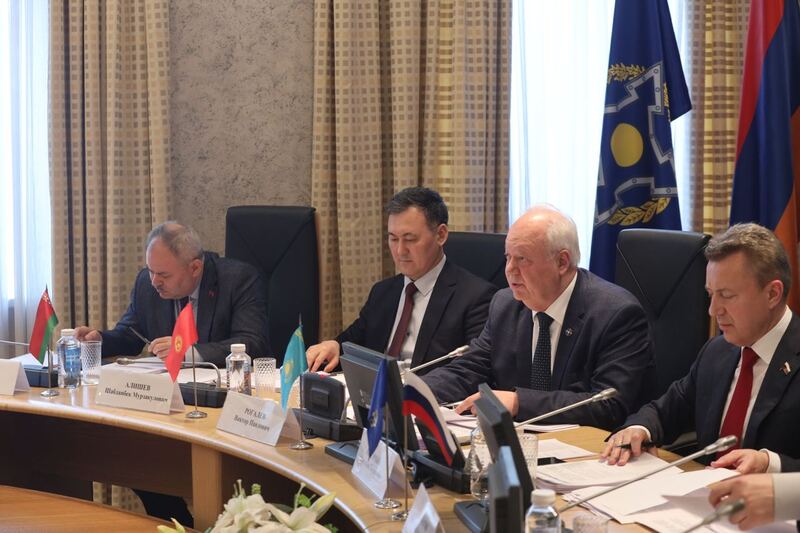 В ПА ОДКБ представили проект Рекомендаций по противодействию искажению истории