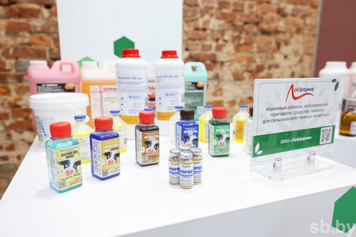 Молодые аналитики