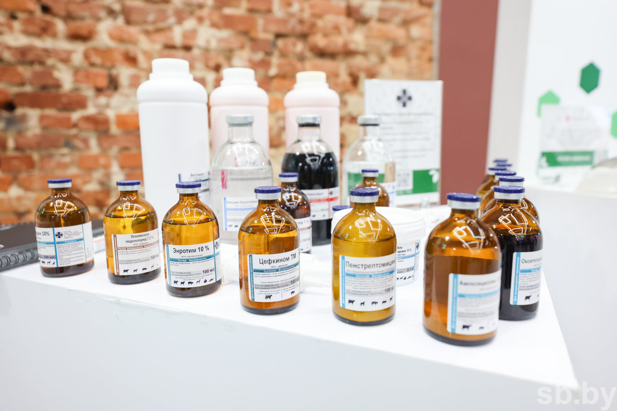 Молодые аналитики